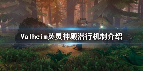 星耀国际官方网站图片
