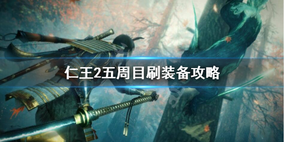 星耀国际官方网站图片
