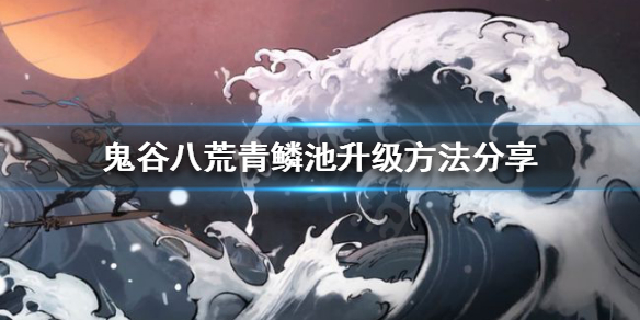 星耀国际官方网站图片