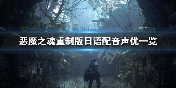 星耀国际官方网站图片
