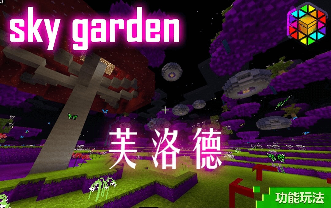 星耀国际官方网站图片