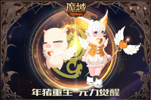 星耀国际官方网站图片
