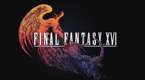 星耀国际官方网站图片