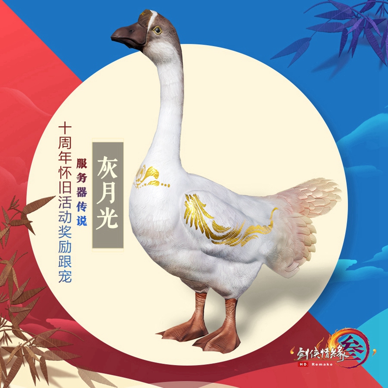 星耀国际官方网站图片