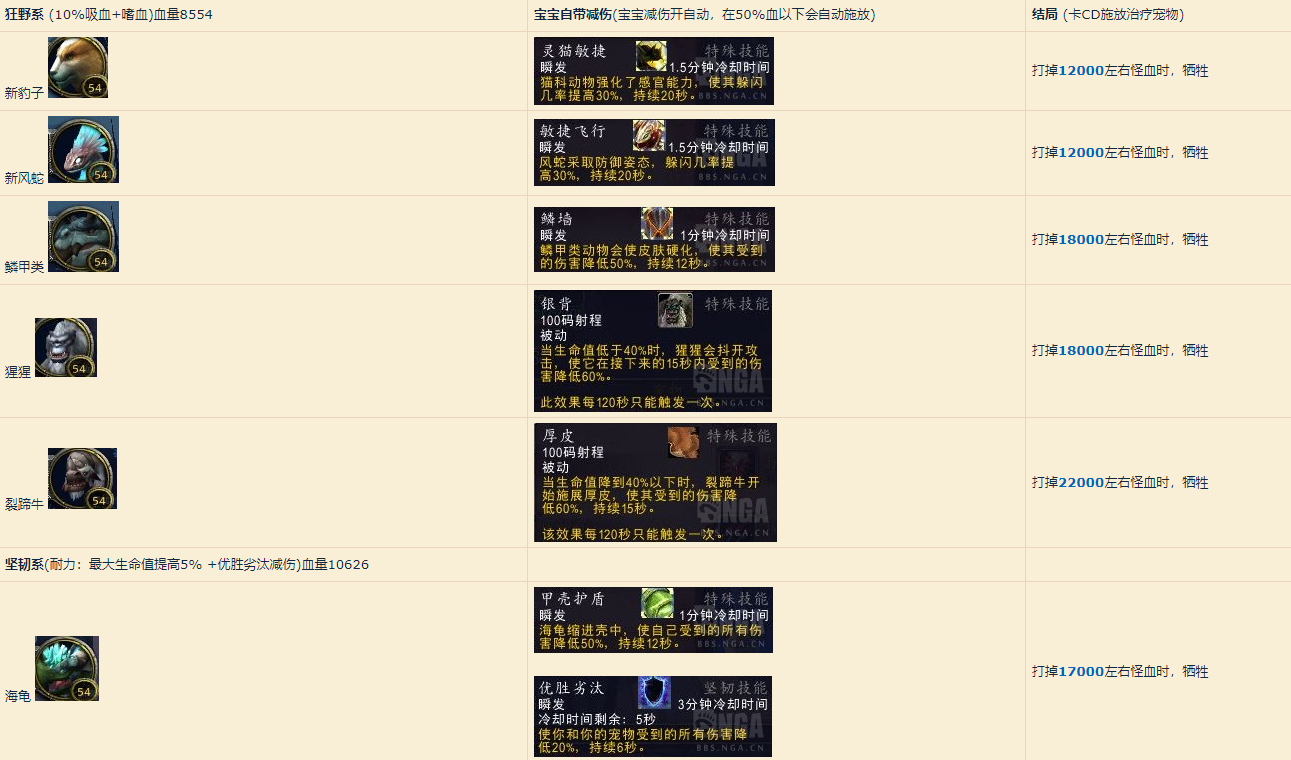 星耀国际官方网站图片