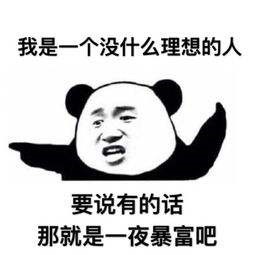 星耀国际官方网站图片