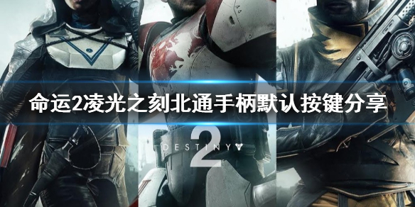 星耀国际官方网站图片