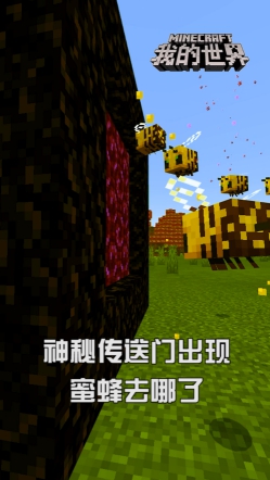 星耀国际官方网站图片