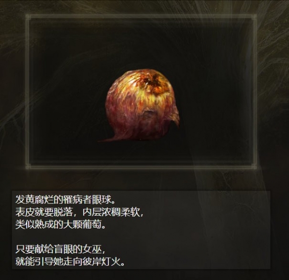 星耀国际官方网站图片