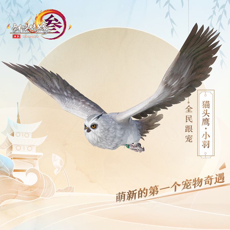 星耀国际官方网站图片