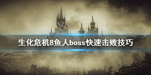 星耀国际官方网站图片
