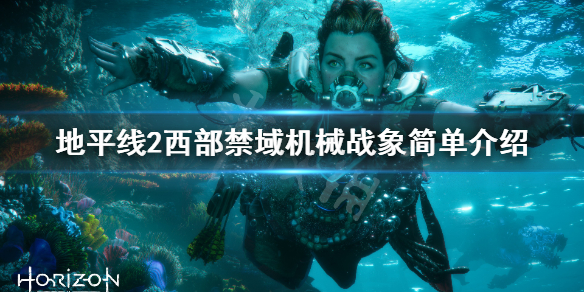 星耀国际官方网站图片