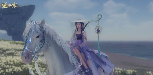 星耀国际官方网站图片