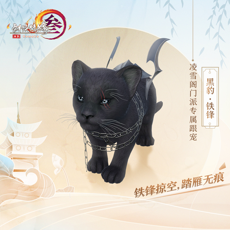 星耀国际官方网站图片