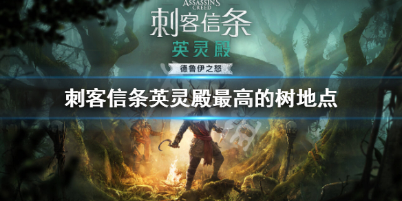 星耀国际官方网站图片