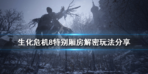 星耀国际官方网站图片