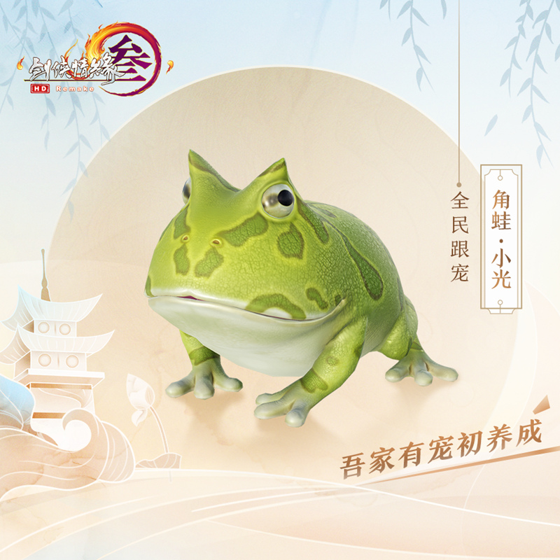 星耀国际官方网站图片