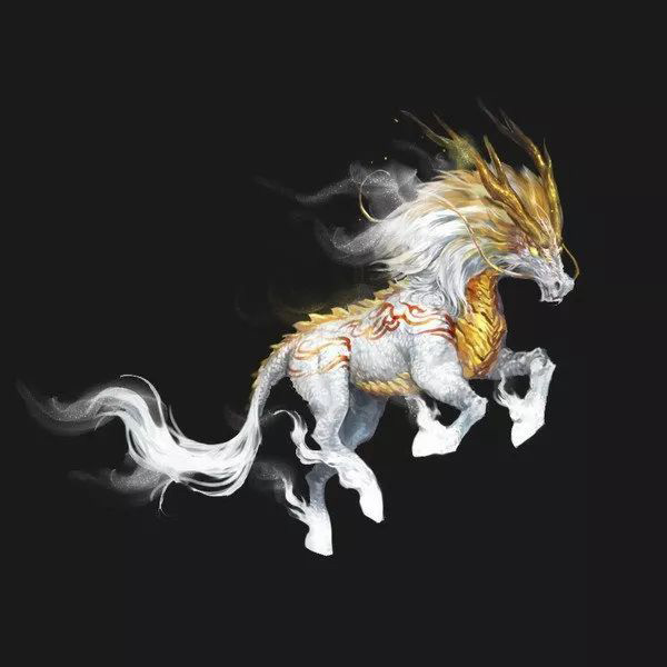 星耀国际官方网站图片