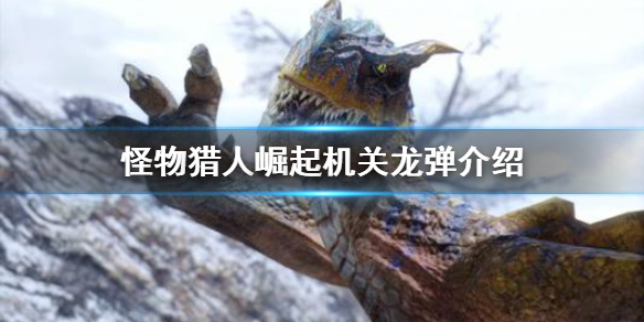 星耀国际官方网站图片