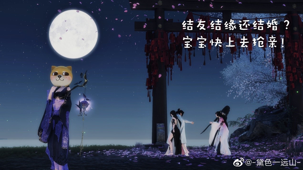 星耀国际官方网站图片