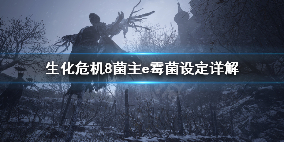 星耀国际官方网站图片