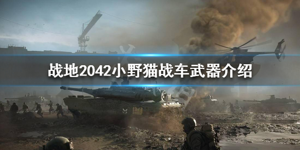 星耀国际官方网站图片