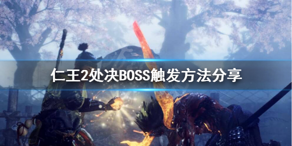 星耀国际官方网站图片