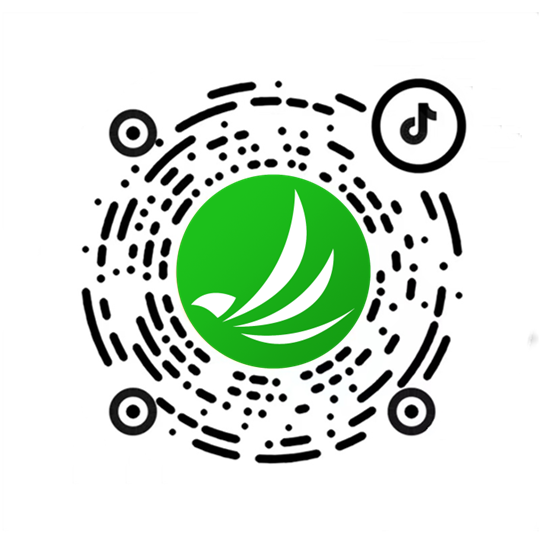 星耀国际官方网站图片