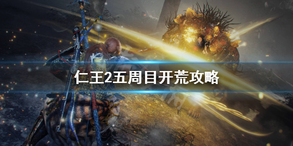 星耀国际官方网站图片