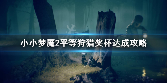 星耀国际官方网站图片