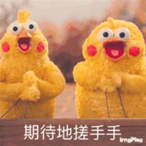 星耀国际官方网站图片