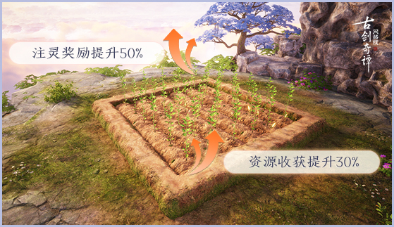 星耀国际官方网站图片
