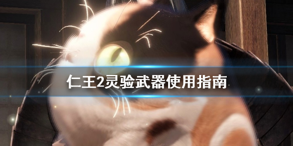 星耀国际官方网站图片