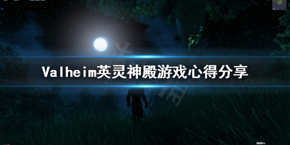 星耀国际官方网站图片
