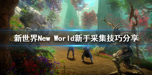 星耀国际官方网站图片