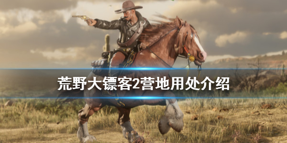 星耀国际官方网站图片