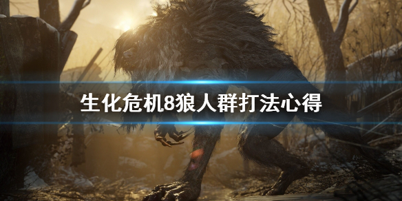 星耀国际官方网站图片