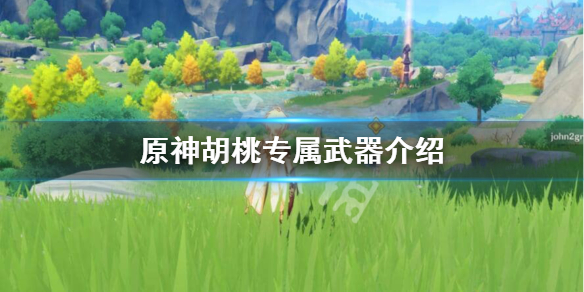 星耀国际官方网站图片