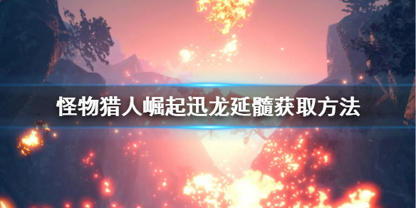 星耀国际官方网站图片