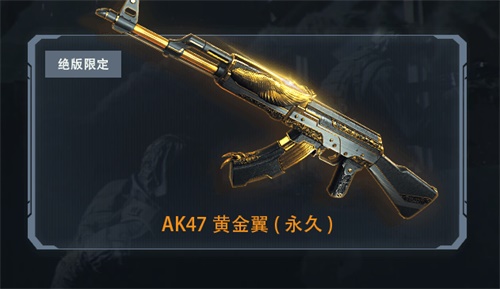 星耀国际官方网站图片