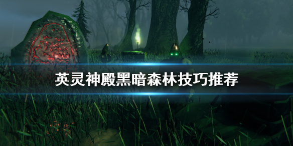 星耀国际官方网站图片