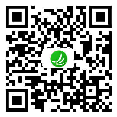 星耀国际官方网站图片
