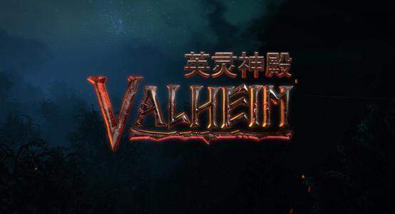 星耀国际官方网站图片