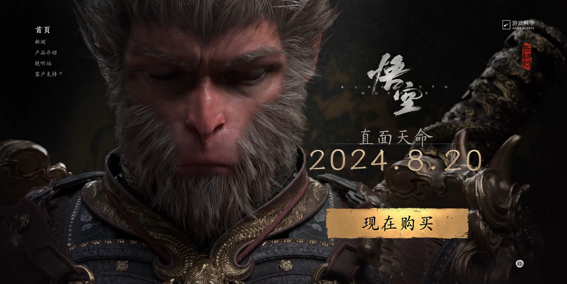 星耀国际官方网站图片