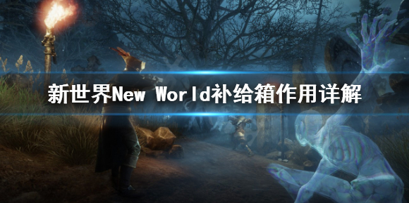 星耀国际官方网站图片