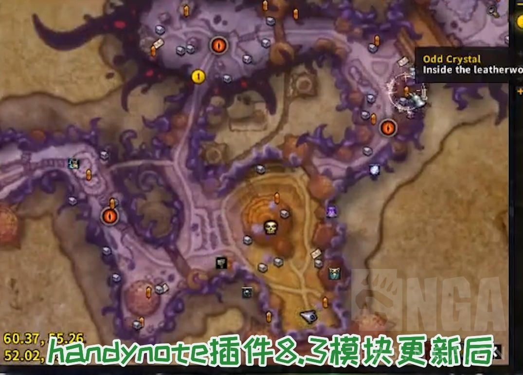 星耀国际官方网站图片