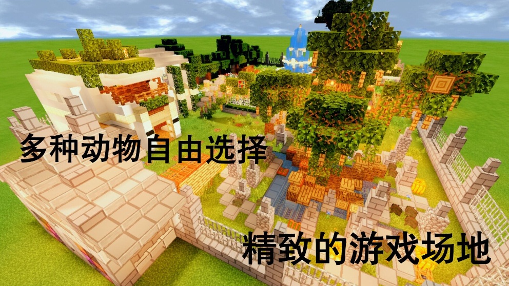 星耀国际官方网站图片