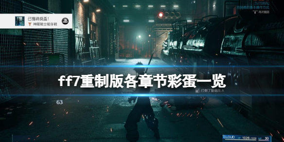 星耀国际官方网站图片
