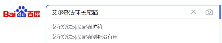 星耀国际官方网站图片