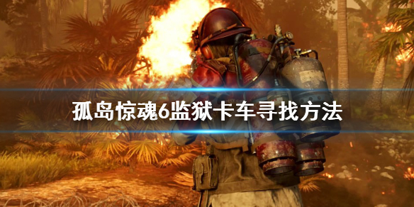 星耀国际官方网站图片